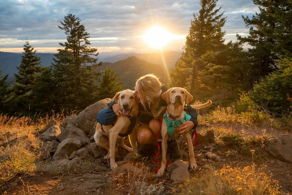 Ruffwear