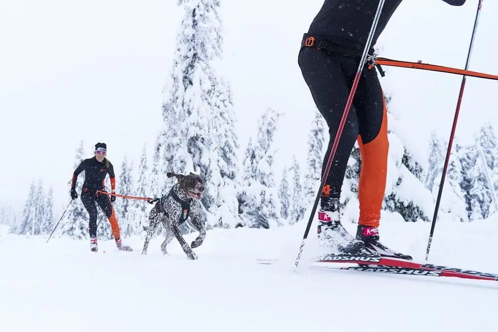 Non-Stop – Ceinture Løype