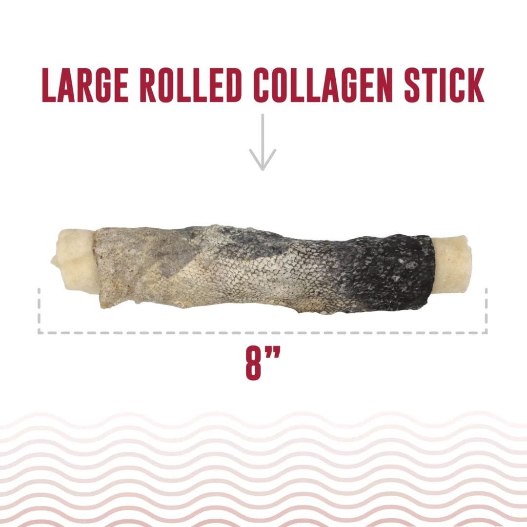 Icelandic + –  Bâtonnet de collagène de bœuf enveloppé de  peau de morue