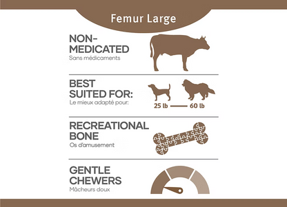Red Dog Blue Kat – Fémur de boeuf large ( paquet de 2 )