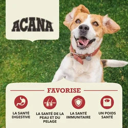 Acana – Viande Rouge – Sans Grains