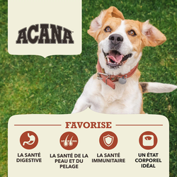 Acana – Singles à Ingrédients Limités – Sans Grains - Boeuf et Citrouille