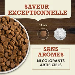 Acana – Singles à Ingrédients Limités – Sans Grains - Boeuf et Citrouille