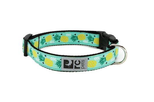 Rc Pets – Collier pour petit chien