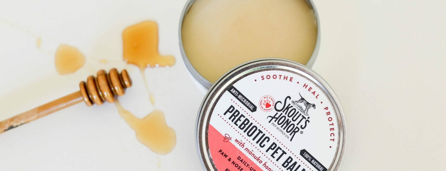 Skout's Honor – Baume prébiotique pattes et museaux – Miel de Manuka