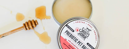 Skout's Honor – Baume prébiotique pattes et museaux – Miel de Manuka