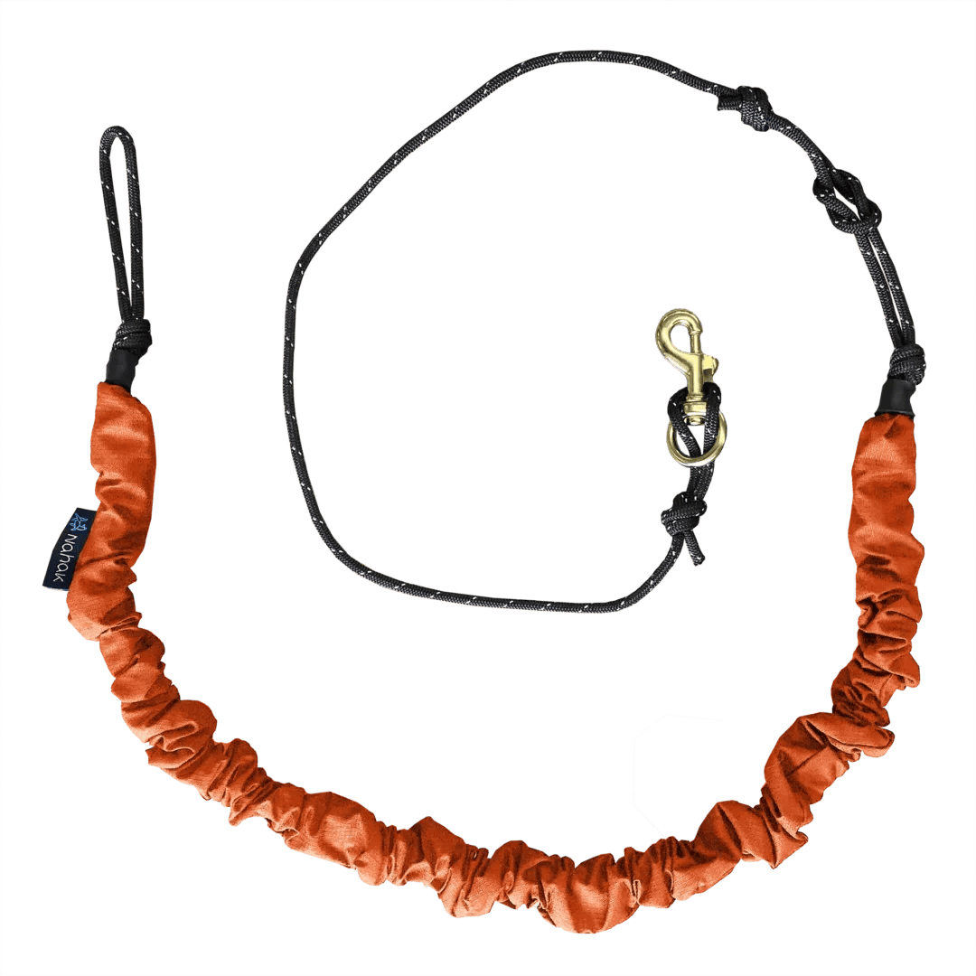 Nahak – Ligne Bungee pour Bikejoring