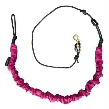 Nahak – Ligne Bungee pour Bikejoring