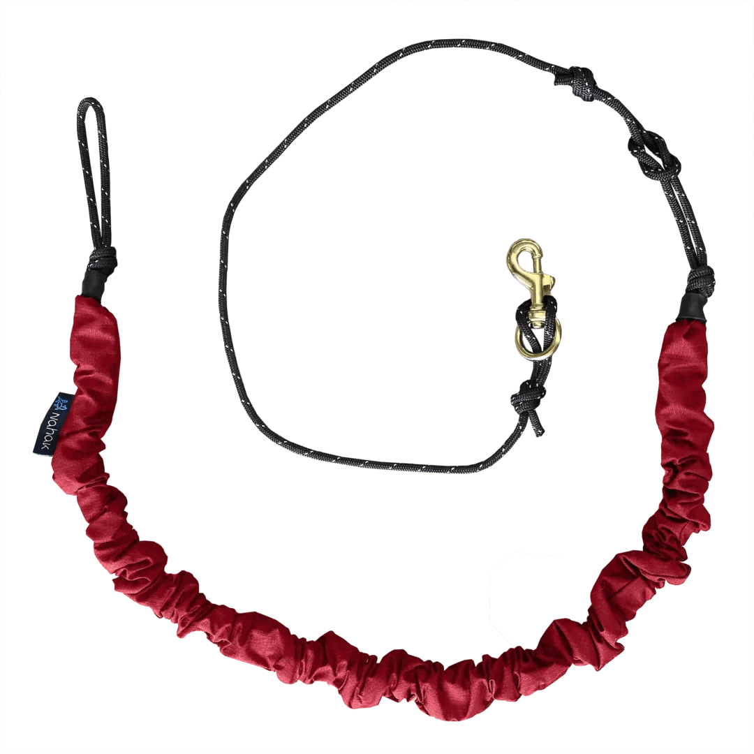 Nahak – Ligne Bungee pour Bikejoring