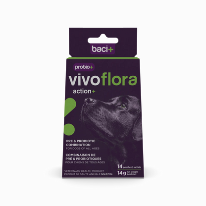 Baci + – Baci+ Probio+ Vivoflora pour chiens