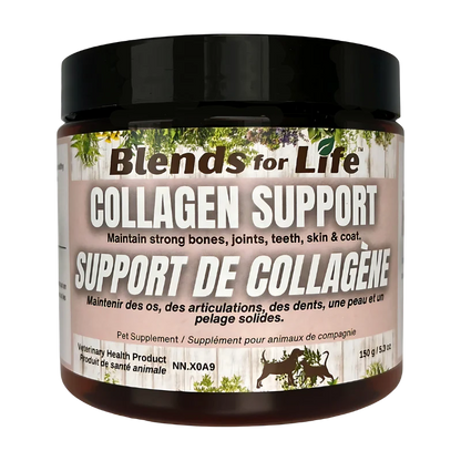 Blends for Life – Support de collagène