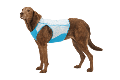 Ruffwear – Gilet rafraîchissant Swamp Cooler Zip