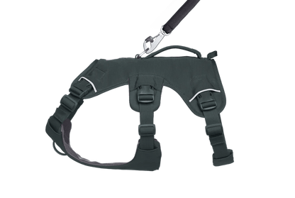 Ruffwear – Harnais Web Master