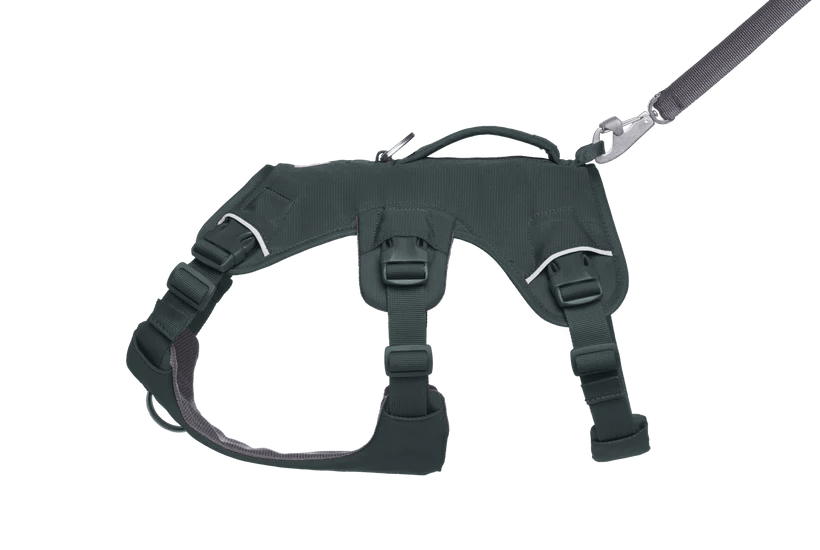 Ruffwear – Harnais Web Master