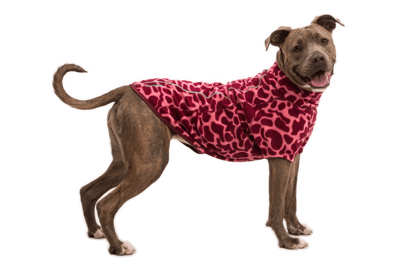 Ruffwear – Climate Changer - Fleece jacket