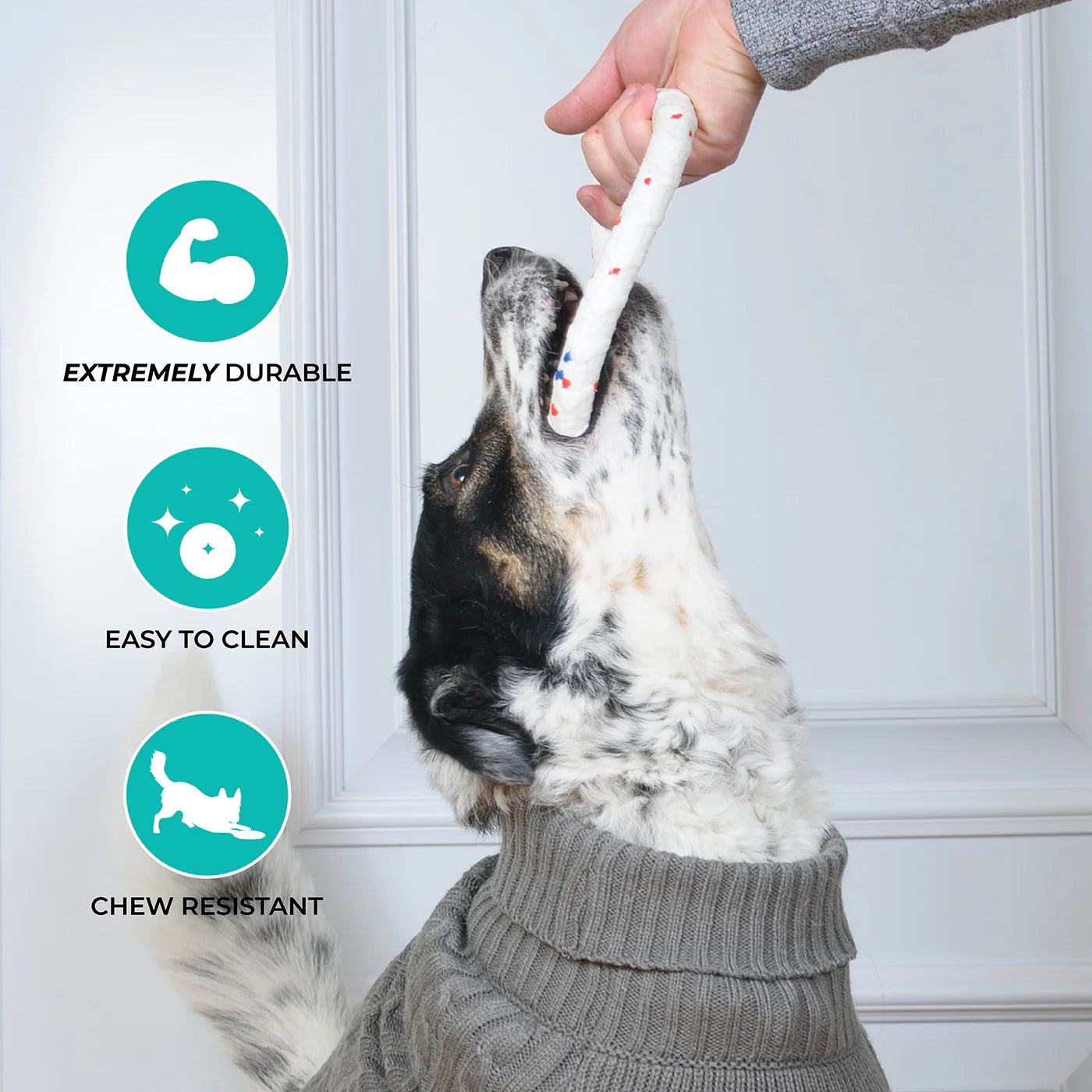 Shedrow K9 – Anneau FlexiPlay