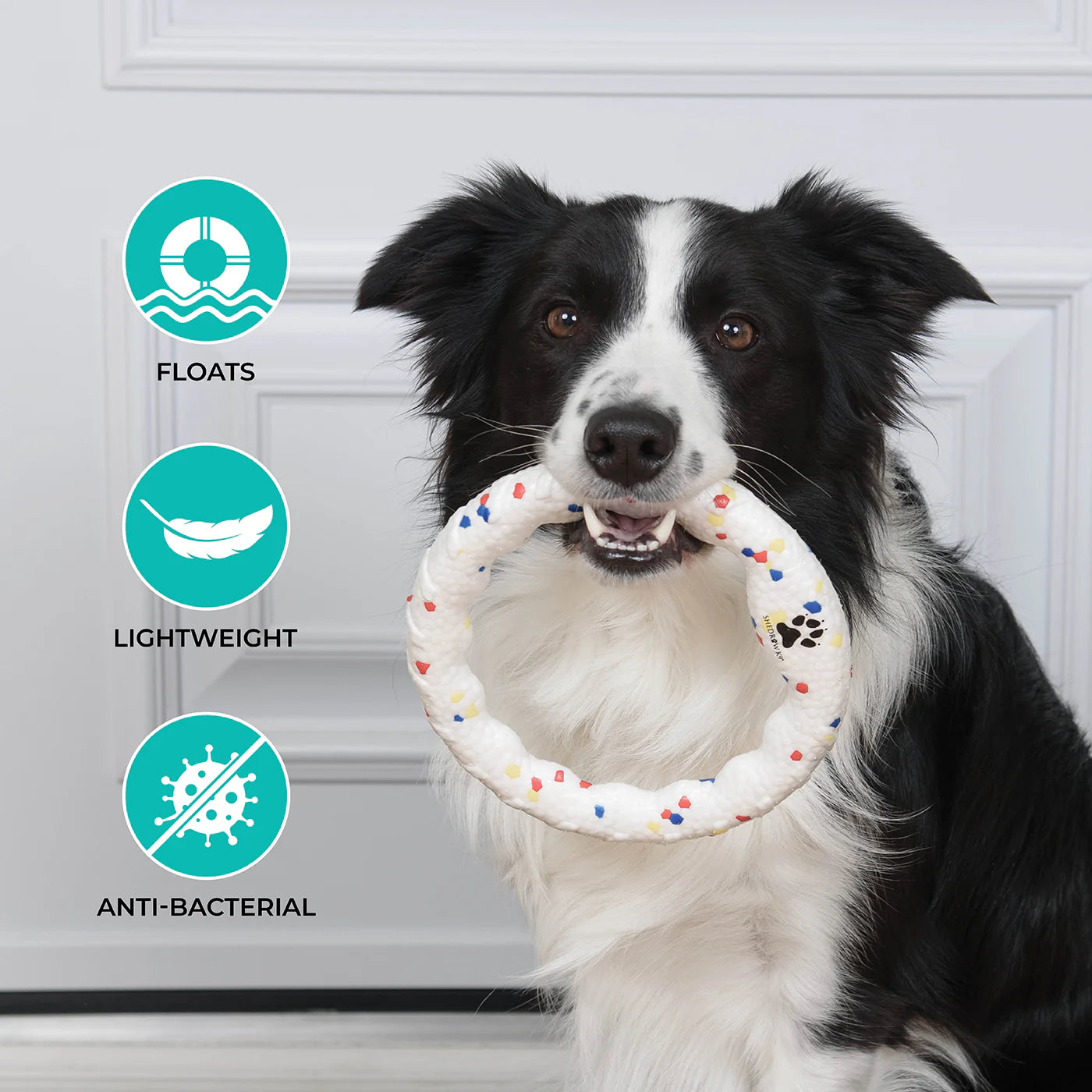 Shedrow K9 – Anneau FlexiPlay