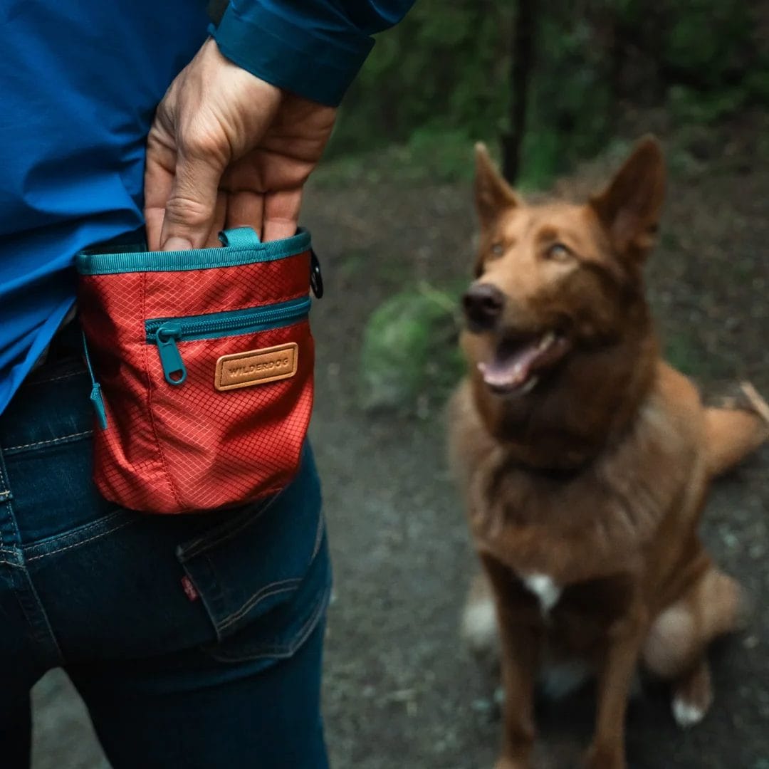 Wilderdog – Pochette pour gâtetries