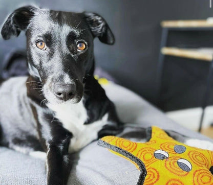 Tuffy – Général l'étoile de mer