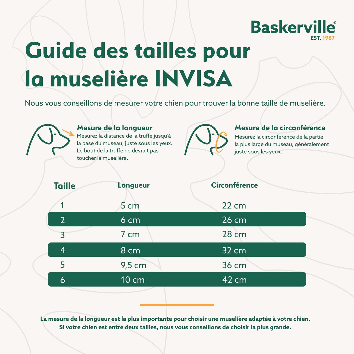 Company of Animals – Baskerville muselière - Invisa