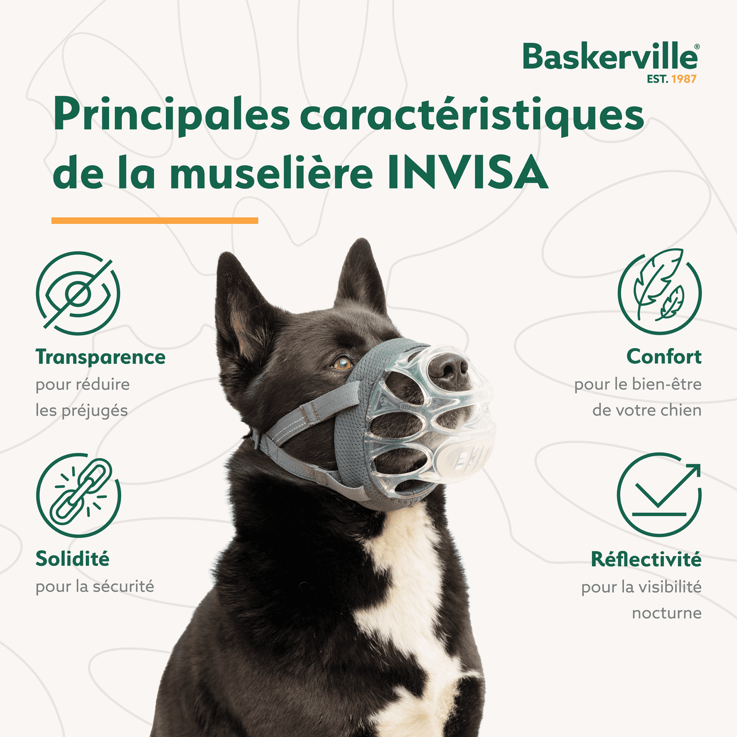 Company of Animals – Baskerville muselière - Invisa