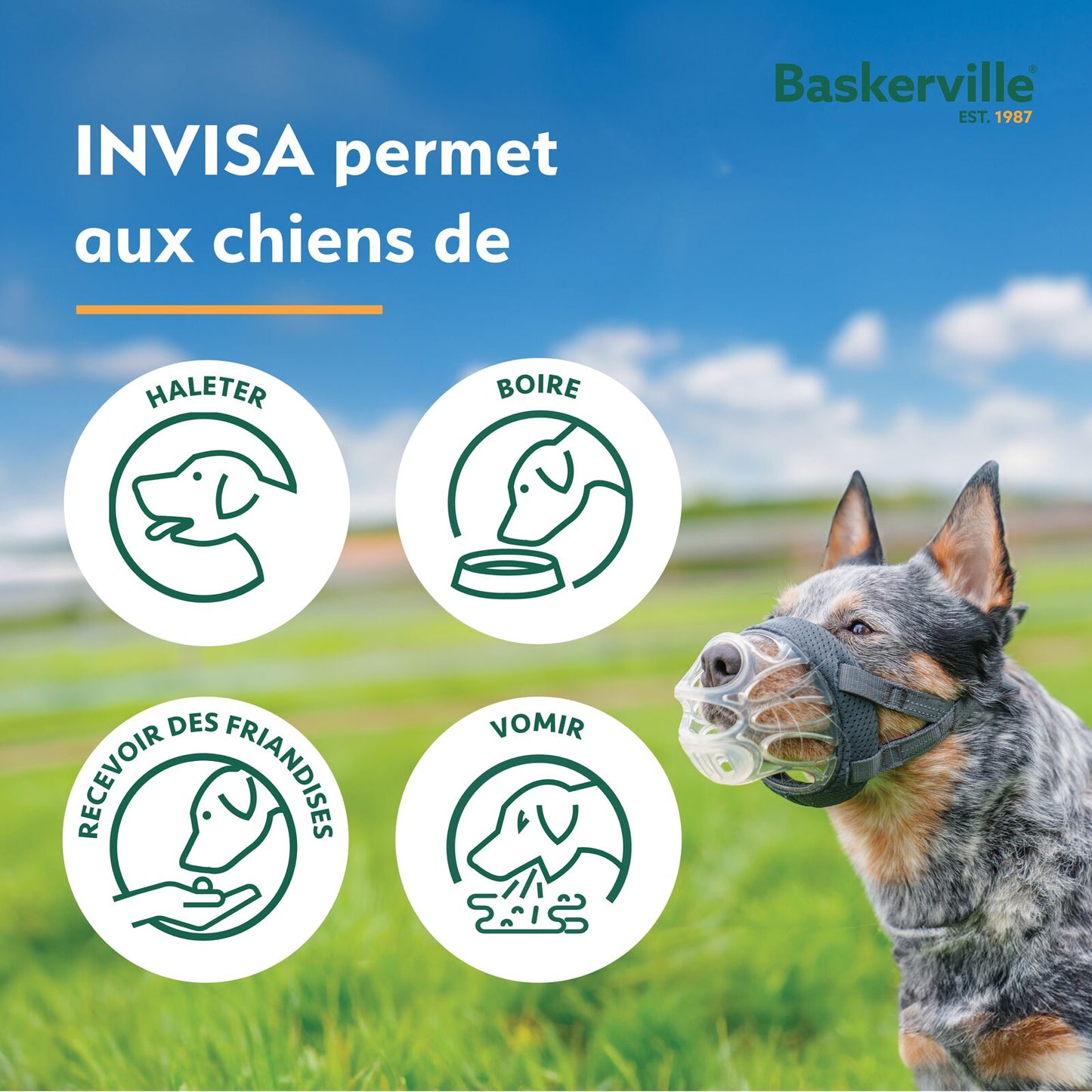 Company of Animals – Baskerville muselière - Invisa