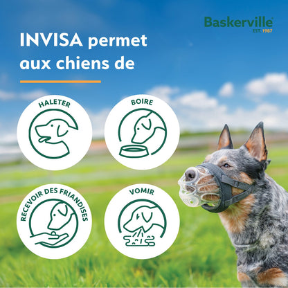 Company of Animals – Baskerville muselière - Invisa