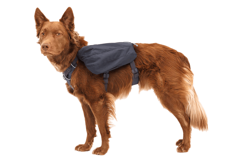 Ruffwear – Sac à Dos Front Range Day Pack