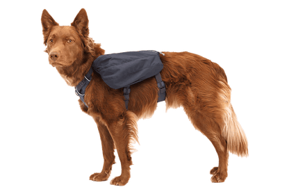 Ruffwear – Sac à Dos Front Range Day Pack