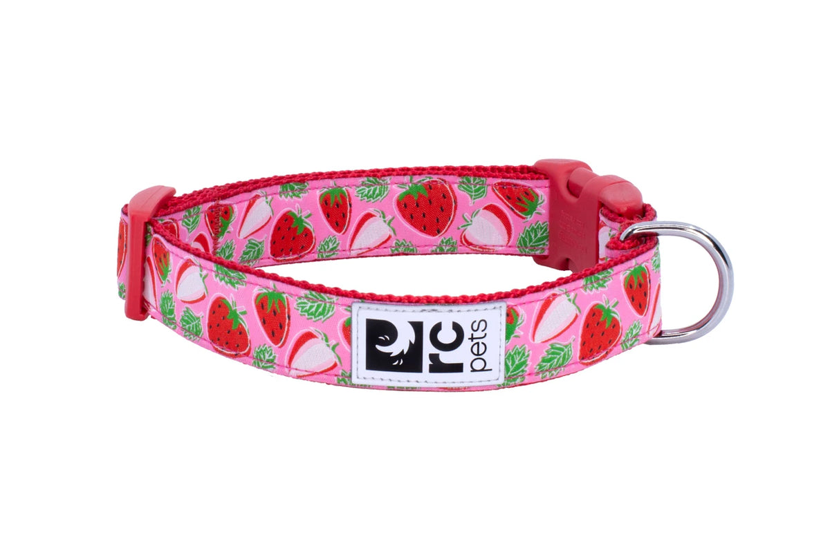 Rc Pets – Collier pour petit chien