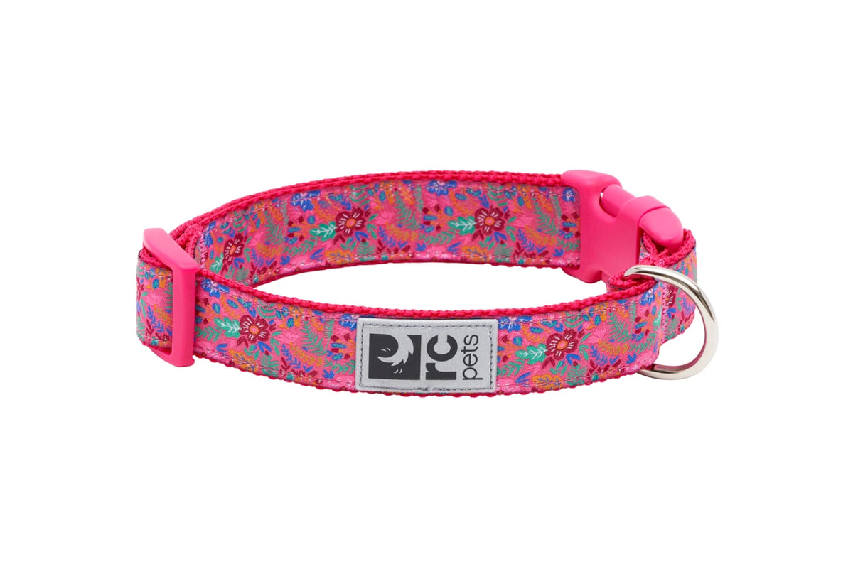 Rc Pets – Collier pour petit chien