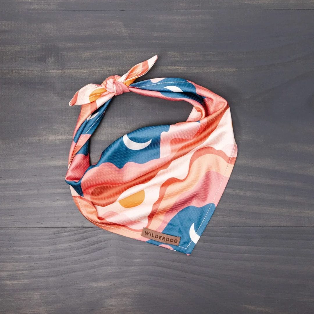 Wilderdog – Foulard rafraîchissant
