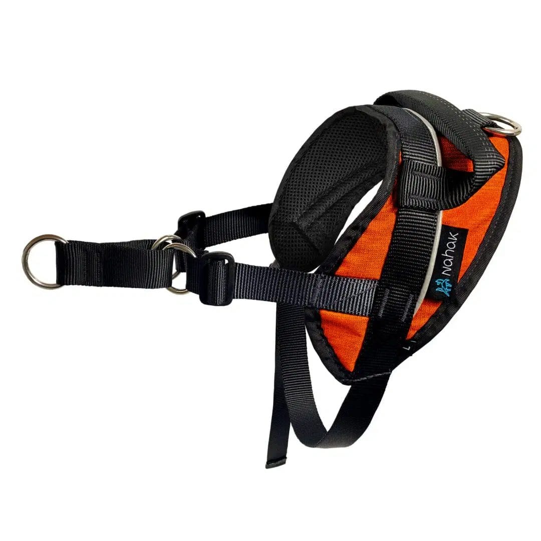 Nahak – Harnais de marche