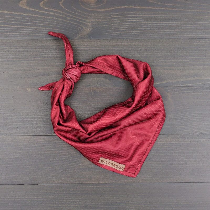 Wilderdog – Foulard rafraîchissant