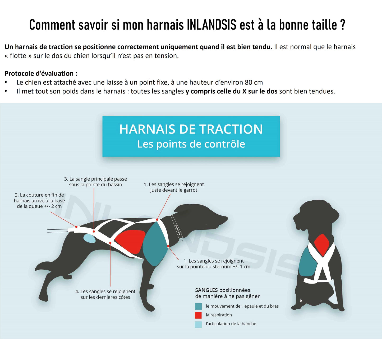 Inlandsis – Harnais Storm