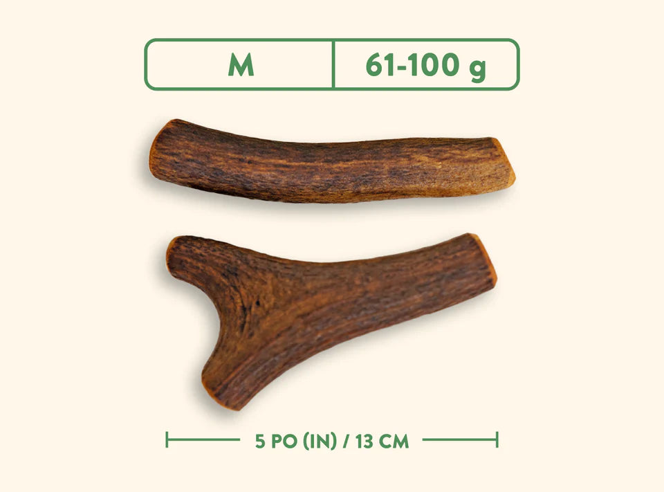 Jawgler – Bois de cervidés entier – Jambon fumé à l'érable