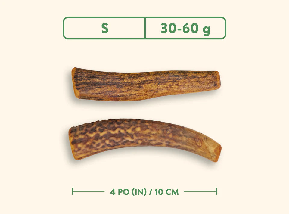 Jawgler – Bois de cervidés entier – Jambon fumé à l'érable