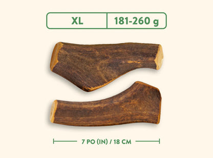Jawgler – Bois de cervidés entier – Jambon fumé à l'érable