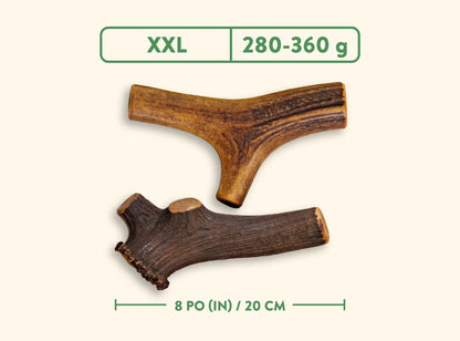 Jawgler – Bois de cervidés entier – Jambon fumé à l'érable
