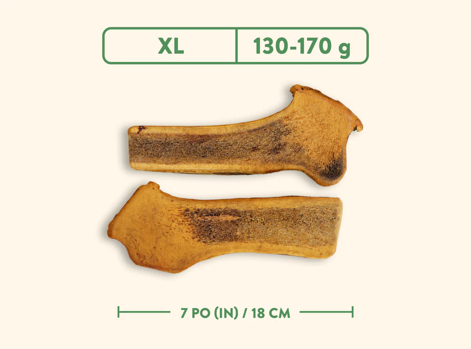 Jawgler – Bois de cervidés coupé – Jambon fumé à l'érable