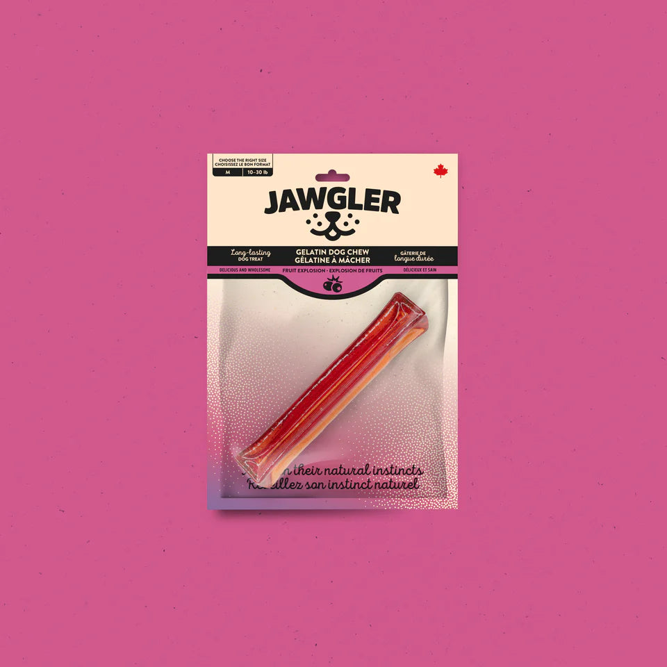 Jawgler – Gélatine à mâcher