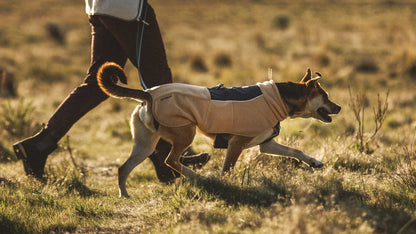 Ruffwear – Gilet polaire Timberline fuse avec harnais intégré