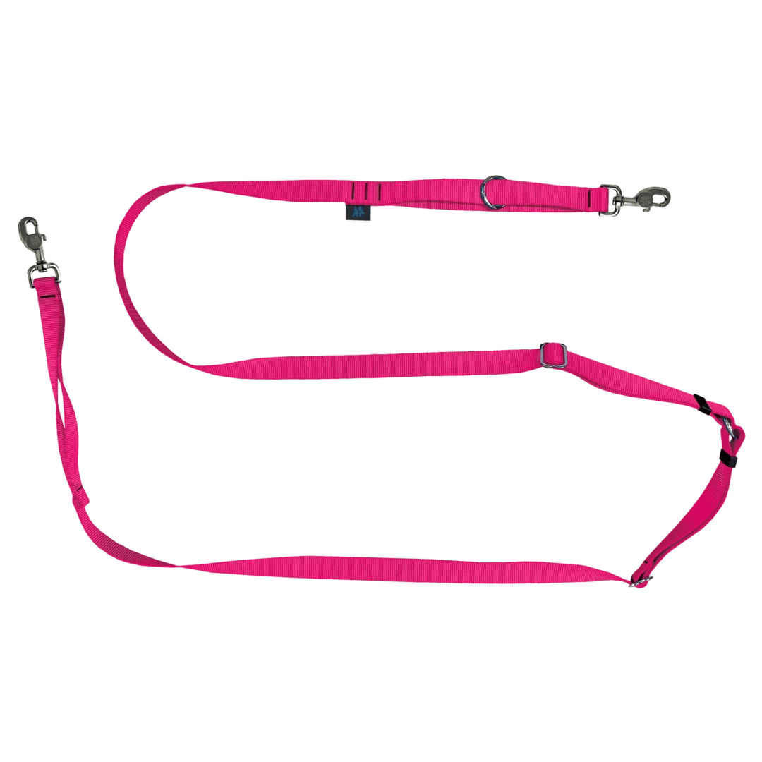 Nahak – Laisse multifonction – 7 choix de couleurs