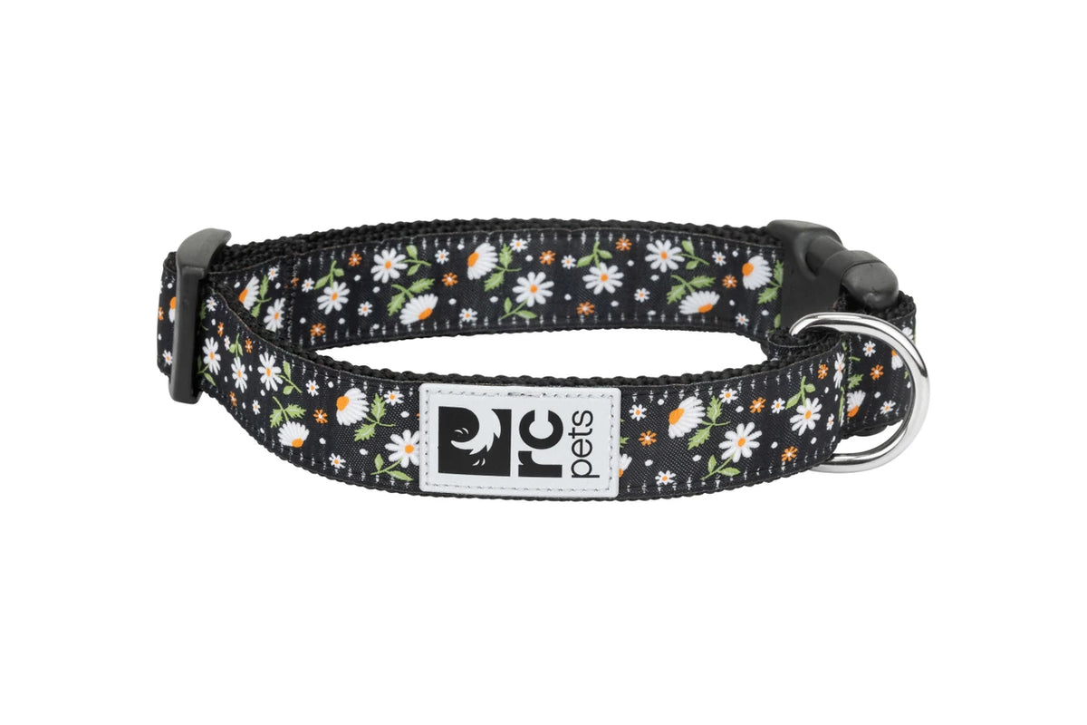 Rc Pets – Collier pour petit chien