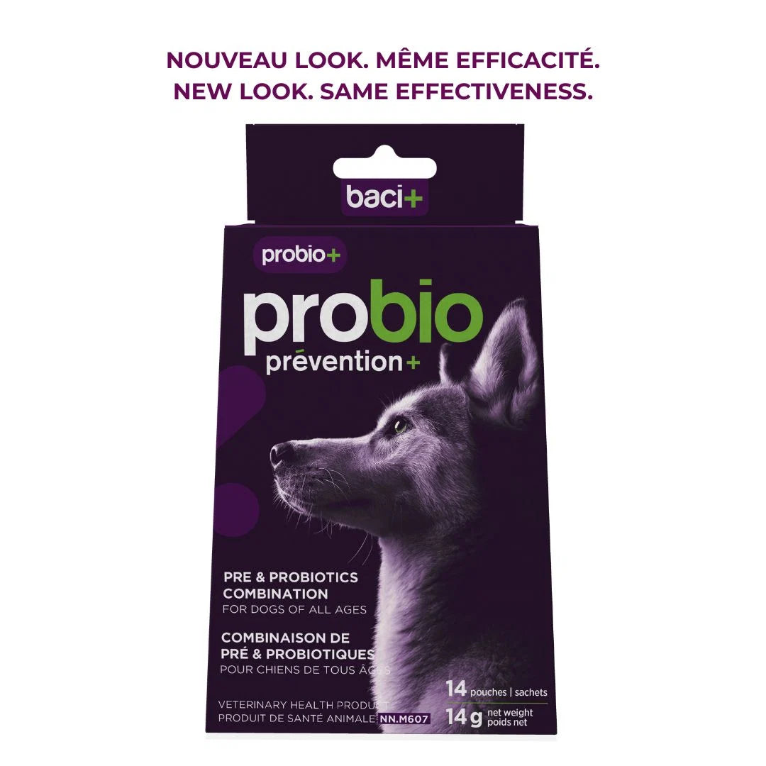 Baci + – Probio+ Pré et probiotiques – prévention et maintien pour chiens