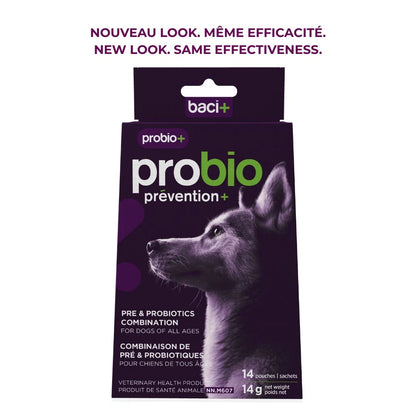 Baci + – Probio+ Pré et probiotiques – prévention et maintien pour chiens