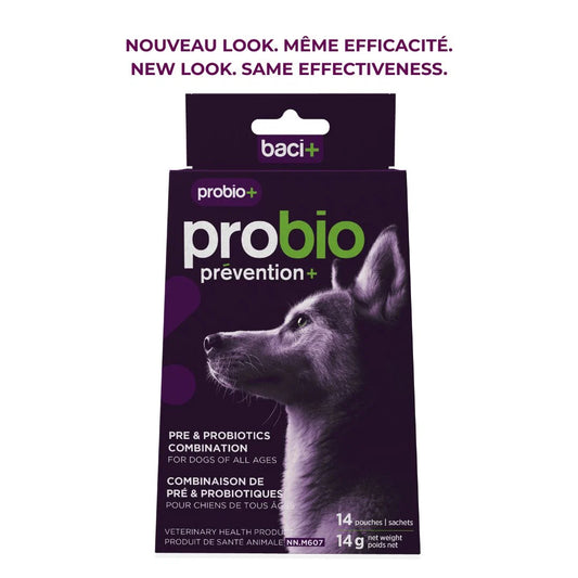 Baci + – Probio+ Pré et probiotiques – prévention et maintien pour chiens