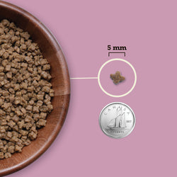 Acana – Chaton 1.8kg