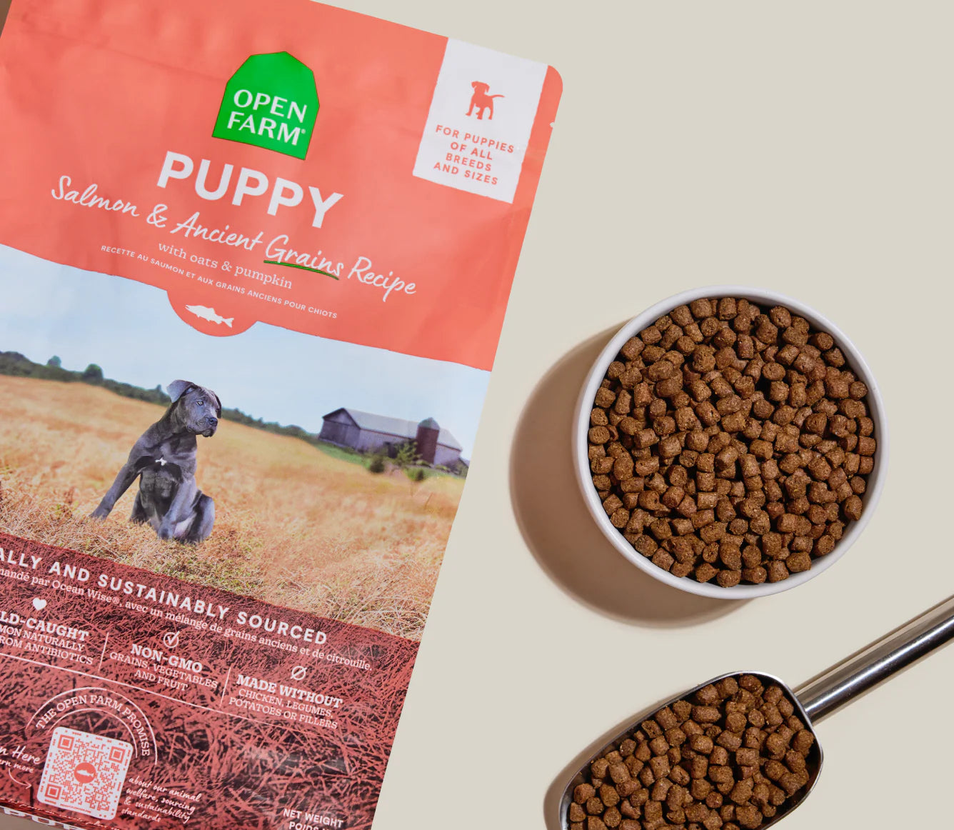 Open Farm – Recette saumon – Grains anciens - Chiot