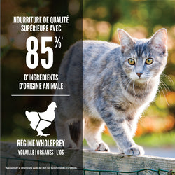 Orijen – Sans Grains - Originale - Chat